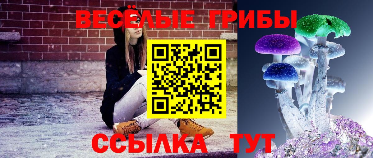 хочу наркоту  Вход с VPN  Псилоцибиновые грибы MAGIC MUSHROOMS  Тара  Галлюциногенные грибы MAGIC MUSHROOMS 